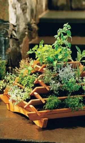 Семена Смесь зелени Ароматный беспредел - для подоконника 2 гр (УД) Е/П