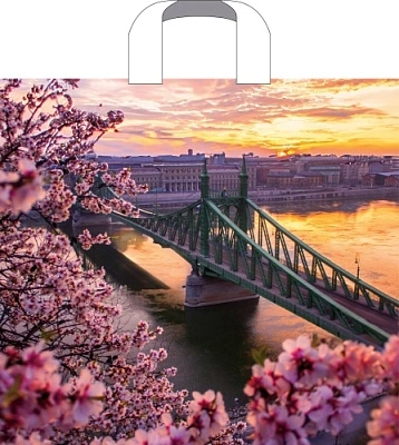 Пакет ПЭ с петлевой ручкой 38х34+3см (70) (Дунай) Артпласт (х50/500)