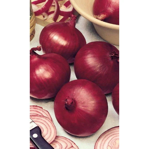 Семена Лук репчатый Ред Барон 0,3гр (Марс) Б/П