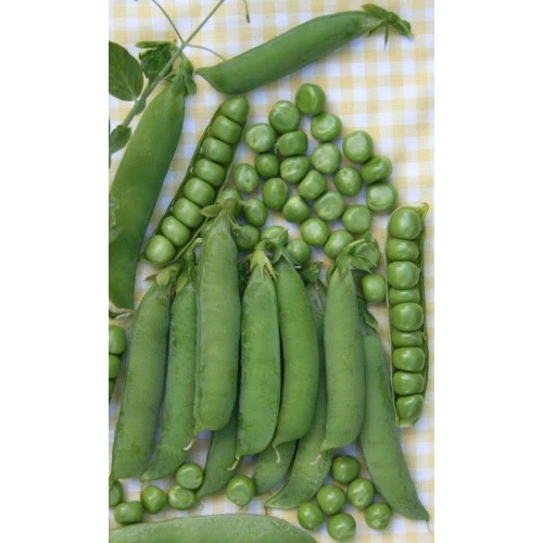 Семена Горох Ранний 301 - овощной 5гр (Марс) Б/П