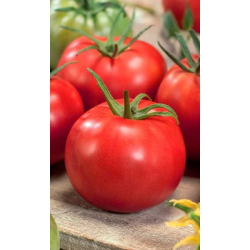 Семена Томат Яблочный 20шт (УД) Е/П