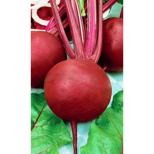 Семена Свекла Цыганка 2гр (УД) Е/П