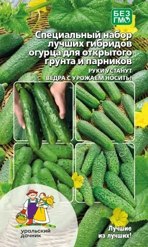 Семена Огурец Набор гибридов для Открытого грунта 12 шт (УД) Е/П