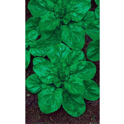 Семена Шпинат Крепыш 1,5гр (УД) Е/П