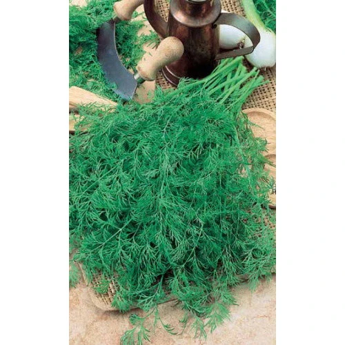 Семена Укроп Супердукат ОЕ 2гр (Марс) Б/П