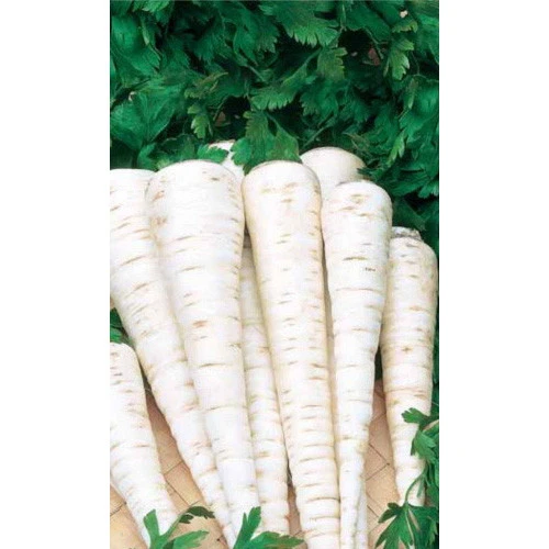 Семена Петрушка Пикантная - корневая 2гр (УД) Е/П