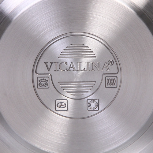Чайник из нержавеющей стали 2,5л Vicalina Мирель мятный VL-9236_4