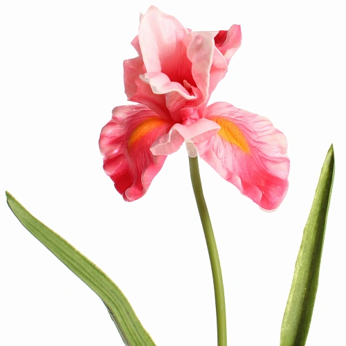 Цветок искусственный Natur 60см Ирис розовый_5