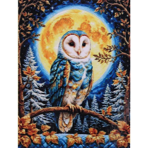 Алмазная мозаика в рулоне 3040см полная выкладка DIAMOND, Сова и Луна_4