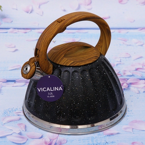 Чайник из нержавеющей стали 3,2л Vicalina Бисквит черный VL-0056_10