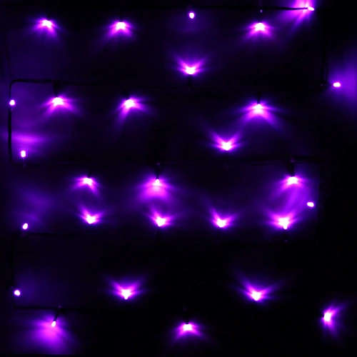 Гирлянда для дома  1,5м 12 ламп LED зелёный пров Фиолетовый_16