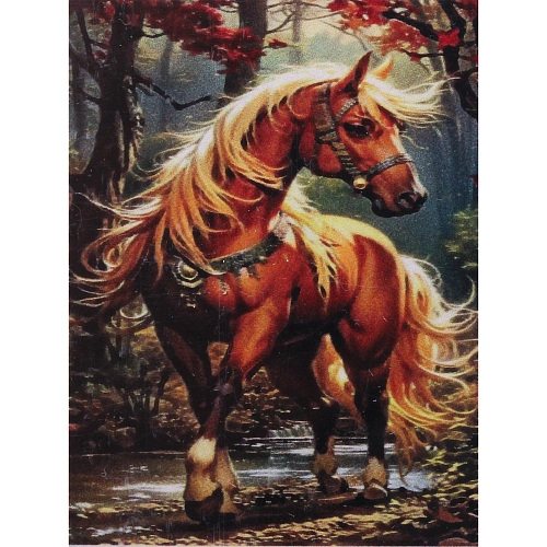 Алмазная мозаика в рулоне 3040см полная выкладка DIAMOND, Тор_4